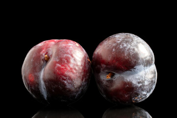 Two ripe black plums, macro, isolated on black background.