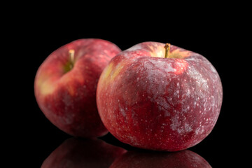 Two juicy dark red apples, macro, isolated on black background.