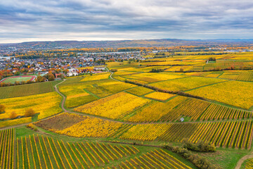 Aerial view of the autumn colored vineyards in the Rheingau near Oestrich-Winkel/Germany on a sunny autumn day