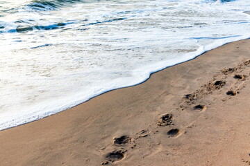 The horse footprints on the sand are a beautiful and powerful sight. It can convey a variety of...