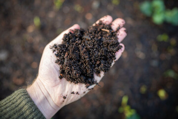 farmer holding soil and plants looking at soil carbon in the america
