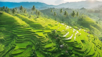 Papier Peint photo Rizières Aerial View Of Rice Terraces Landscape With Drone Agricultural Air In The Summer 