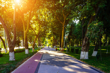 City park in summer or spring with pavement, green lawn and trees on a sunset or sunrise in...