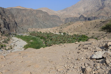 Oase im Wadi Tiwi im Oman	