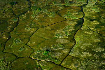 Africa aerial landscape, green river, Okavango delta in Botswana. Lakes and rivers, view from...