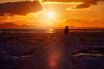 Wildlife behaviour scene, nature. Kuril Islands or Kurile Islands - drifting ice, sea sunset....