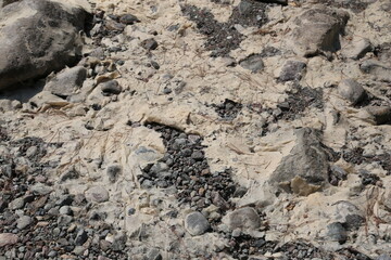 bottom of the dried stream in the mountains, Turkey