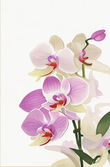 Orchid Flower Background Blank Invitation
