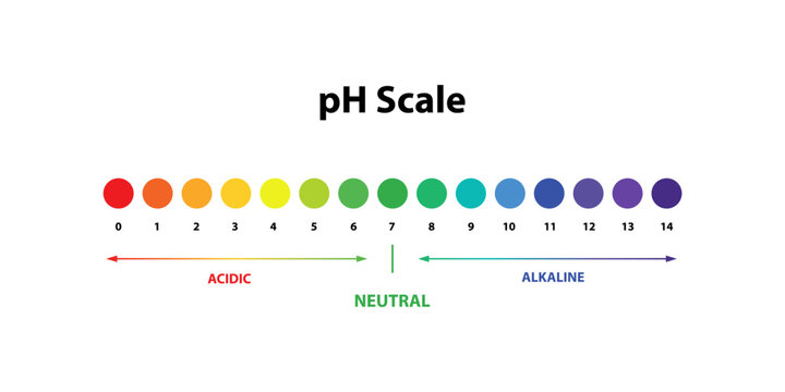Ph Scale chart indicator diagram value. Alkaline, neutral, acidic solution.