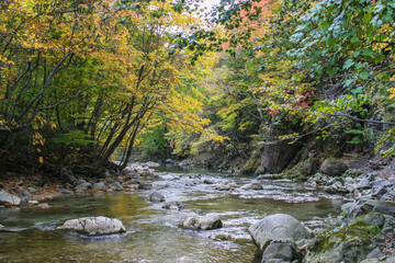 雲石峠の紅葉