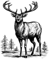 Reindeer in Forest Woodcut