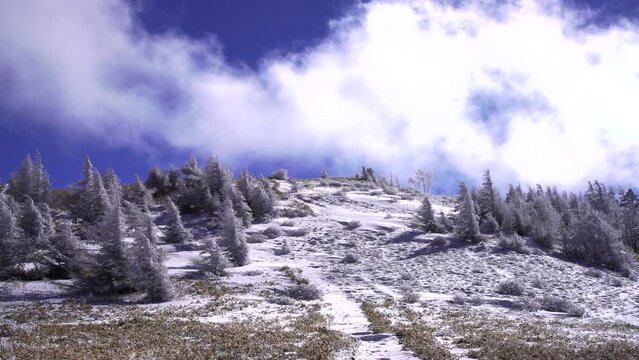 日本の長野県、美ヶ原の雪景色。