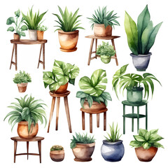 Set of house plants on a stand