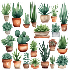 Set of plants in a brown pots