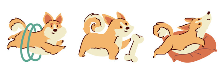 Fototapeta premium Welsh corgi dogs . Hand drawn style cartoon characters . White isolate background . Vector .