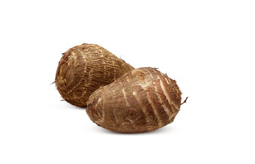 里芋 イラスト リアル