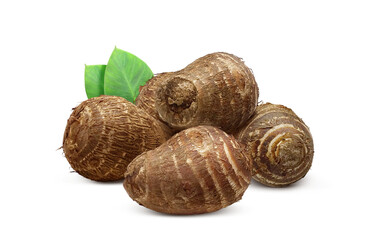 里芋 イラスト リアル