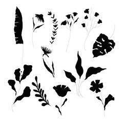 Black Plant Branches Silhouettes with Stem and Leaves Vector Set