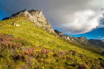 Deurstickers View of Table Mountain from Kloof Corner hike at sunset in Cape Town, western Cape, South Africa © pierrick