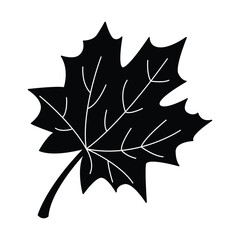 Fototapeta premium Fall leave icon vector on trendy design