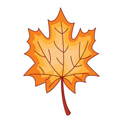 Fall leave icon vector on trendy design