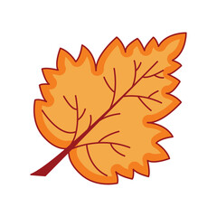 Fall leave icon vector on trendy design