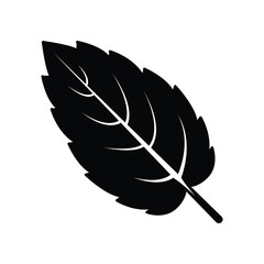 Fall leave icon vector on trendy design