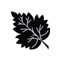 Fall leave icon vector on trendy design