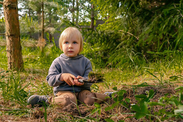 Cute child kid toddler boy planting strawberries seedling in ground, soil in organic garden, forest. farming, cultivation, ecology, eco friendly,agriculture,funny childhood in spring summer concept