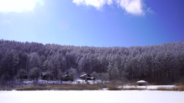 日本の長野県冬の聖高原。