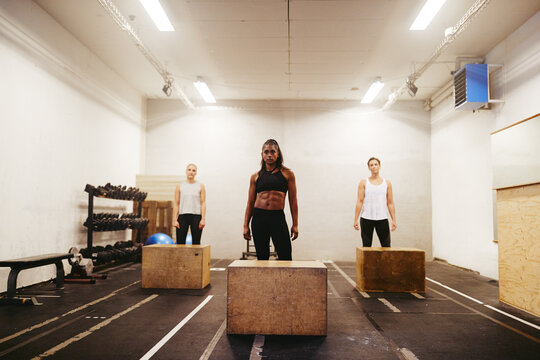 Diverse women ready for box jump session at a the gym