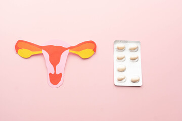 Uterus and vagina anatomy with white pills package on pink background. Treatment of vaginal...