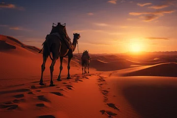 Fototapeten Desert camel trek with a sunset and a berber © sirisakboakaew