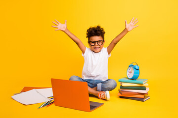 Full length photo of cute excited small boy wear white t-shirt rising hands arms distance education...