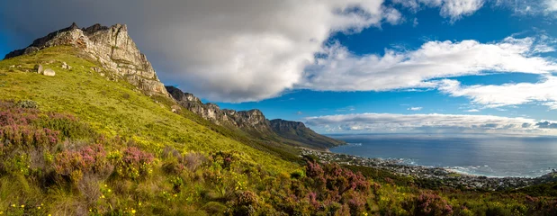 Deurstickers View of Table Mountain from Kloof Corner hike at sunset in Cape Town, western Cape, South Africa © pierrick
