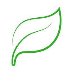 leaf green vector illustration design