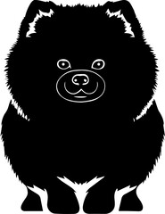 baby Chow Pom icon 3