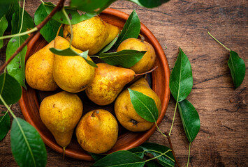 Autumn harvest of brown yellow pears with leaves on clay plate on rustic wooden table background