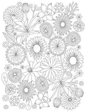 seamless floral pattern adult coloring page garden flowers line art geometric relaxing stress free coloring page botanical vintage vector