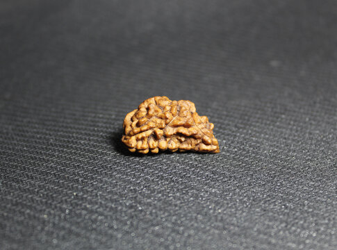 close up of ek mukhi rudraksh on textured rubber mat surface.