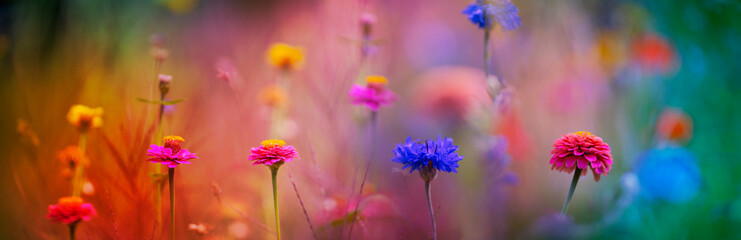 beautiful meadow flowers with nice bokeh - soft focus art floral background
