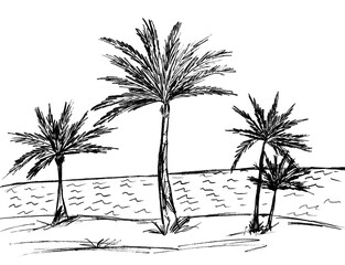 Landscape with palm trees on a white background of black color