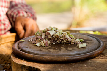 A woman cutting lemon grass on a wooden board in Chiang Mai, Thailand.