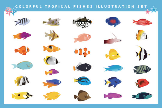 熱帯魚 Images – Browse 19,487 Stock Photos, Vectors, and Video 