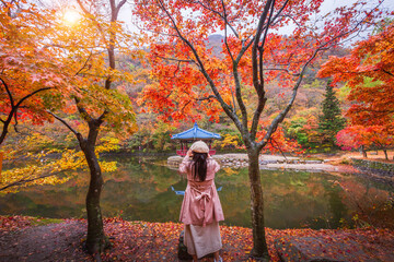 Tourists taking pictures in Colorful autumn with beautiful leaf at Baekyangsa temple in Naejangsan national park, South Korea.