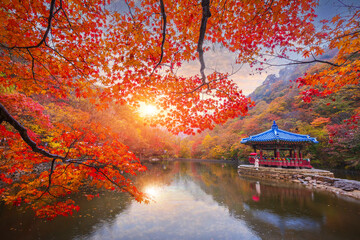 A pavilion in the middle of a small embankment at sunset and colorful autumn leaves at Naejangsan national park, South Korea.
