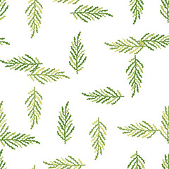 Abstract seaweed backdrop. Organic fern leaves seamless pattern. Simple style botanical background.