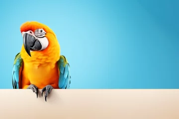 Rolgordijnen Bright exotic ara parrot on minimalistic blue wallpaper. AI generated © Valery