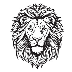 Lion head cartoon hand drawn sketch Vector Safari animals