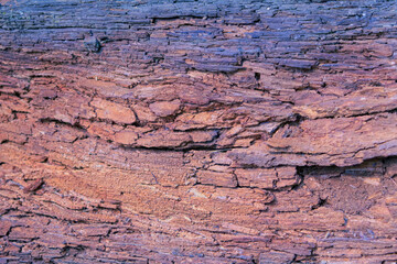 Abstract background or texture detail on brown rotting wood.